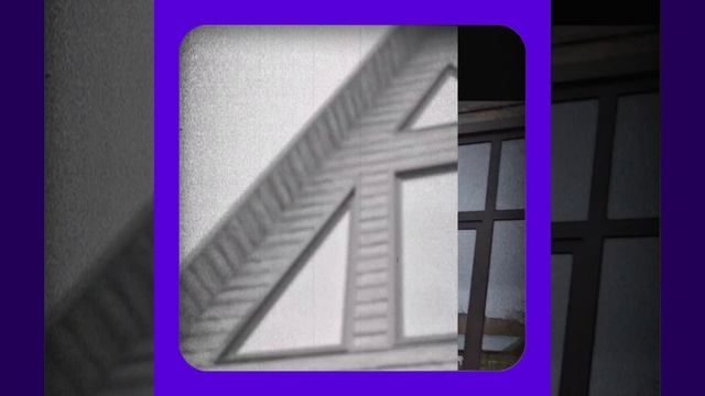 1000038805.mp4 (Собака смотрит на монтаж электропроводки (распайку р/коробок) в доме А-фрейм)