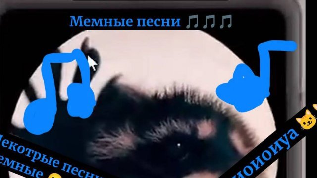 Отрывки мемных песен