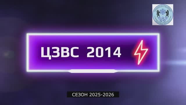 Хоккейная команда ЦЗВС 2014 год, Новосибирск