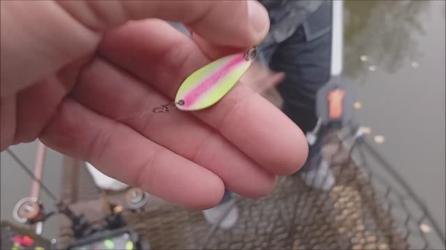 Продолжение рыбалки на спорт зоне. Клёвое место лосиный остров.