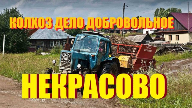 АГРОПАРК НЕКРАСОВО ПОЛЕ-СЕКРЕТНАЯ ЖЕМЧУЖИНА КАЛИНИНГРАДА/ХОТЯ КОЛХОЗ,И ЕСТЬ КОЛХОЗ/БАЛТИЙСК-САЛАКА/