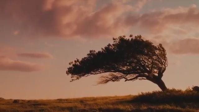 России не нужна война