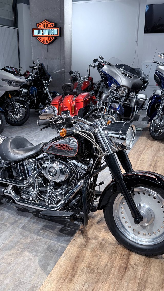 HD Fat Boy ABS Custom Silver Flame