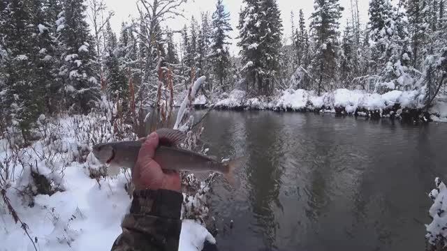 # Хариусом ЗАБИТА РЕЧКА# Каждый ЗАБРОС РЫБА# Рыбалка Осенью в НЕПРОЛАЗНОЙ Тайге# по КОЛЕНО СНЕГА!