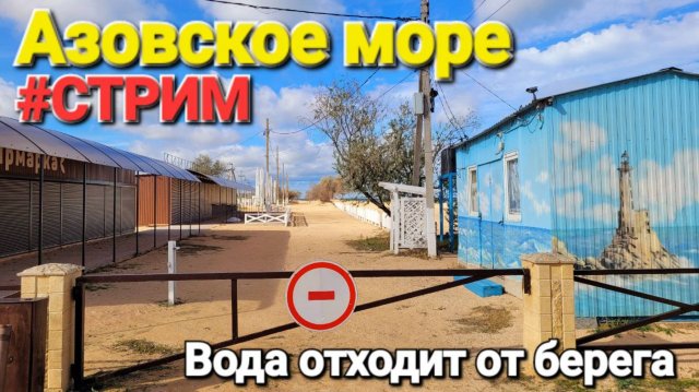 Азовское море Вода отходит на север. #онлайн Центральный пляж Голубицкая 31.10.2025