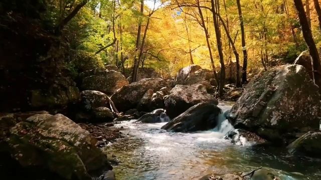 31 октября - Передача небесных ключей. Слушайте знаки.