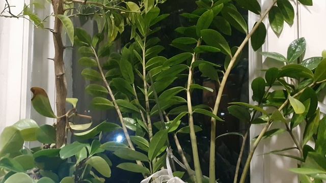 Осенняя грусть