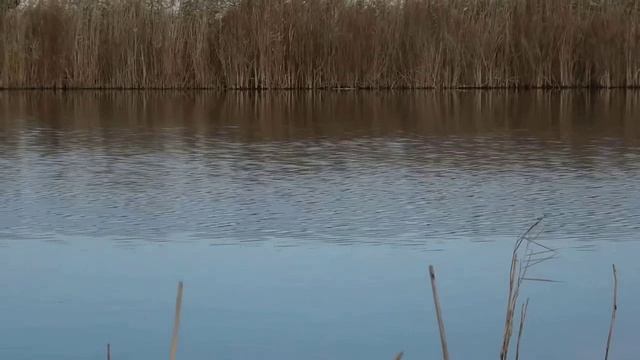 Эта ЯМА КИШИТ КАРАСЁМ!! Попал на ЖОР КАРАСЯ в ОКТЯБРЕ!! Ловля карася ОСЕНЬЮ на ДОННУЮ СНАСТЬ!!