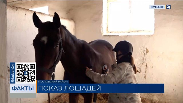 В Мостовском районе представители детских конных школ выбрали скакунов
