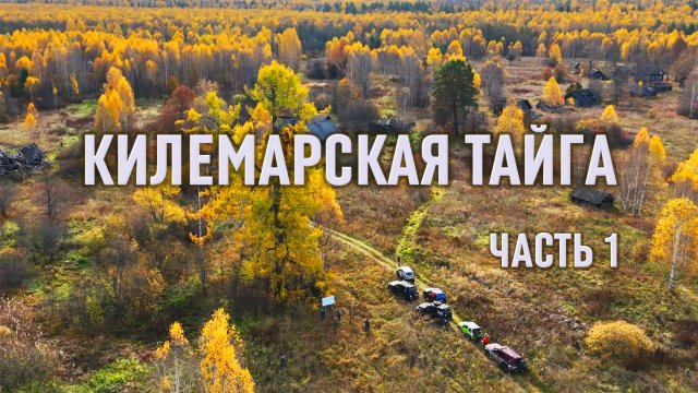 Марийская СВЯЩЕННАЯ лиственница. РАТНАЯ тропа Ивана Грозного. ЮРОНГА. КИЛЕМАРСКАЯ ТАЙГА 2025.