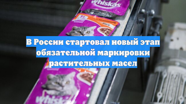В России стартовал новый этап обязательной маркировки растительных масел