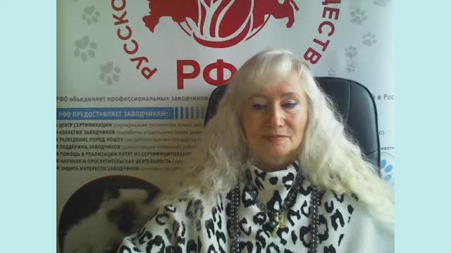 АНОНС выставок кошек формата on-line 15-16 ноября 2025г систем РСА и РФО