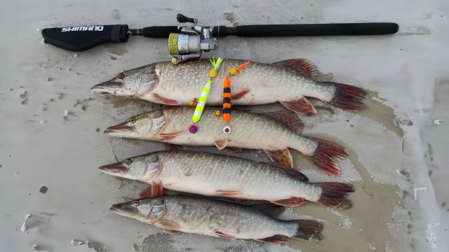 Ловля ЩУКИ на спиннинг в ноябре.