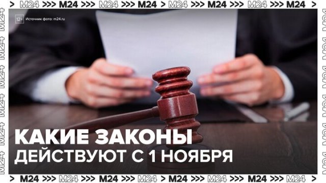 Россиянам рассказали, какие законы начали действовать с 1 ноября - Москва 24