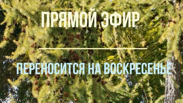 Эфир переносится на воскресенье