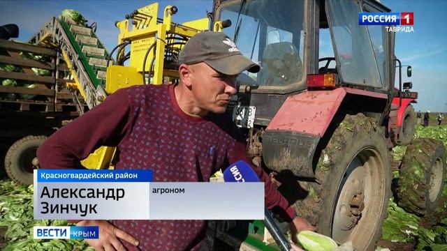 ВЕСТИ КРЫМ: выпуск 01.11.2025 14:30