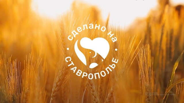 Как производителям помогает новый проект региона — маркетплейс брендов «Сделано на Ставрополье»