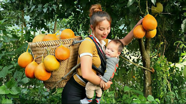 Сбор фрукта гак. Продаю его на местном рынке. Готовлю клейкий рис. Жизнь во Вьетнаме