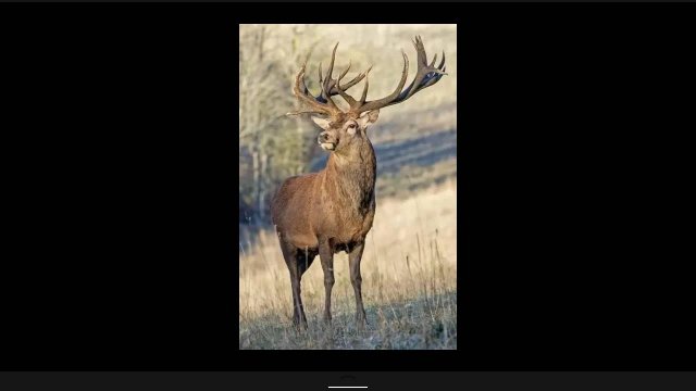 Я вам расскажу что будет на моём канале!  пишите комментарии помогите мне развить канал!