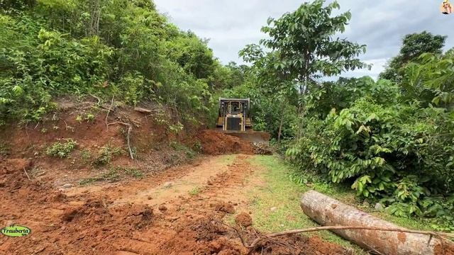 Строительство, дорога в лесу, планировка