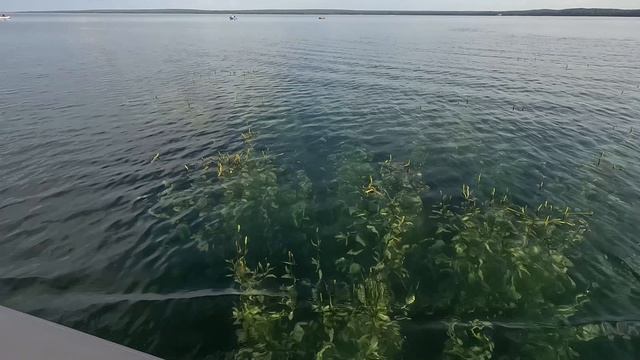 Увильдинская Кругосветка 20.07.2024 на лодке с электромотором Haswing Protruar 3.0 24V