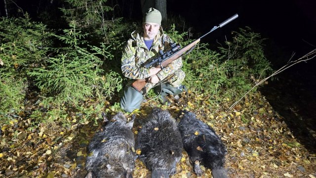 НАШЕЛ ХОРОШЕЕ МЕСТО ДЛЯ ОХОТЫ И РЕЗУЛЬТАТ. ОХОТА НА БОБРА С КАРАБИНОМ. МНОГО ТРОФЕЕВ ЗА ВЫХОД.