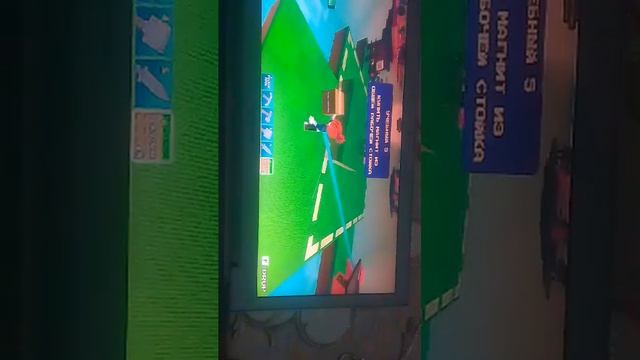 играю с никитой в тайкун