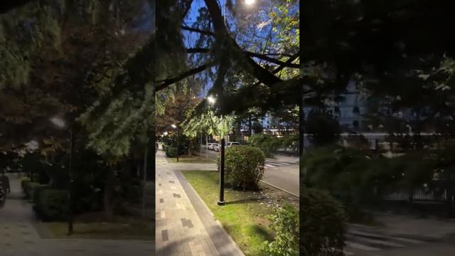 Недвижимость на море без прикрас 🧭 в прямом эфире!