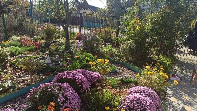 Обзор цветника на 1 ноября!