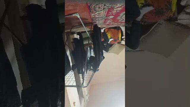 открываю холодильник все запасы недостачу обнаружил что за кашу Где конфеты