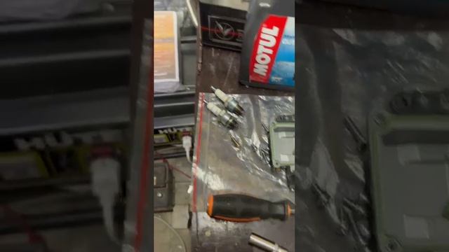 масло MOTUL лодочный мотор 9.9 15л