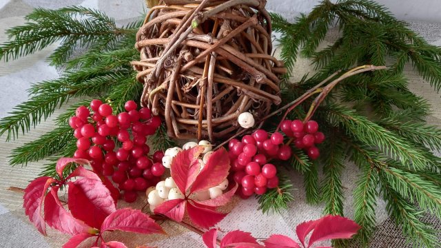 02-11-2025 Наша золотая Осень В гостях у подруги (архив)