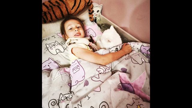 кот лежит на кровати