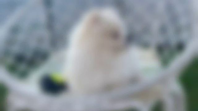 Базовый минимум