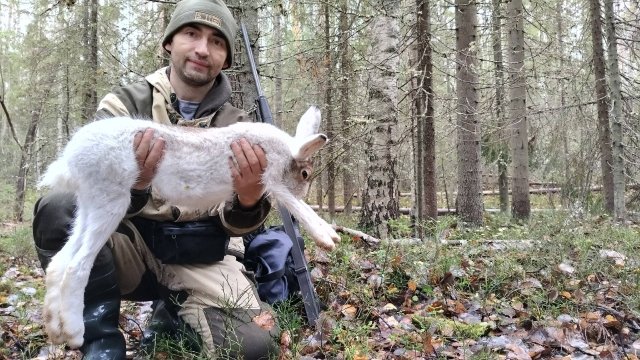 В ИЗБУ НА 4 ДНЯ.ОХОТА НА ЗАЙЦЕВ.ФАРТАНУЛО.Часть-2