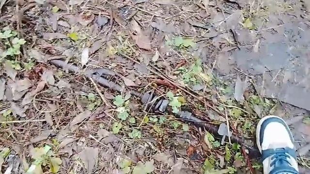 Идем в деревенский магазин с бабушкой 31-10-2025