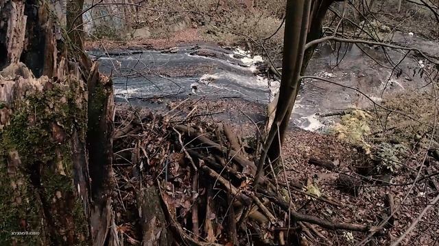 ДА УСПОКОЙСЯ ТЫ...