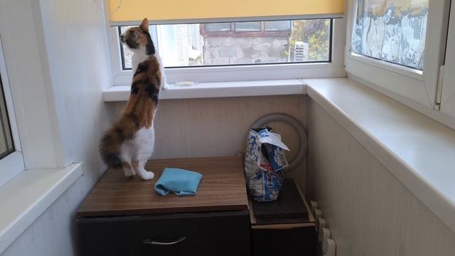 Встречный для вас вопрос..