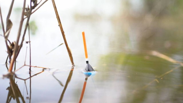 Рыбалка на поплавок в красивом заливе от Волги. Ловля на поплавочную удочку