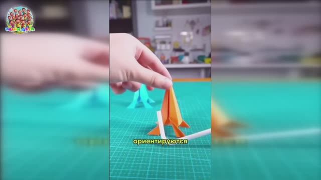 Топ нейроупражнений для детей: развитие мозга, внимания и памяти через игру!