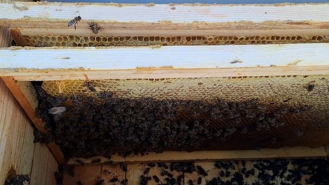 Что то я с девочками начудил....