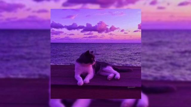 плейлист песен в дорогу // Speed up