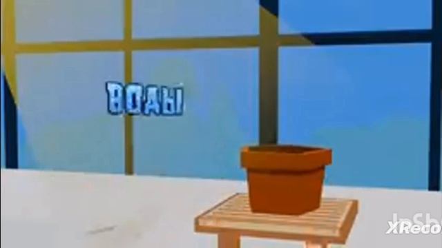 за тобой цветы