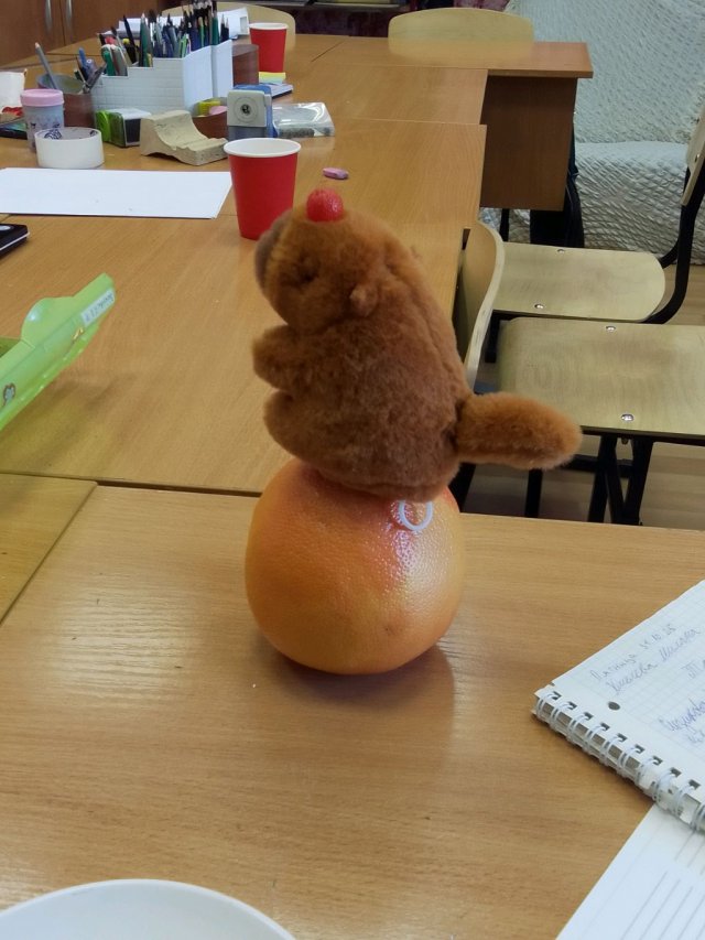 не бей тапками пж