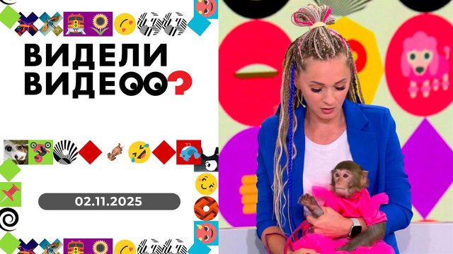 Видели видео? Выпуск от 02.11.2025