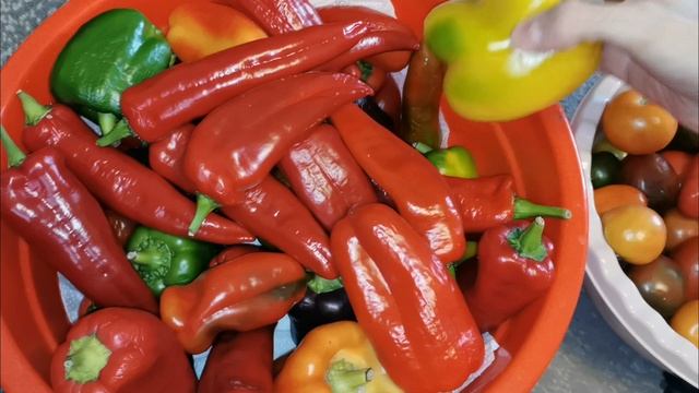 Семена на 2026 год для урожайного огорода в деревне собираю все самое нужное!