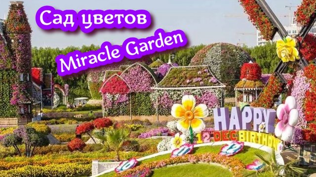 Цветочный сад Dubai Miracle Garden 2025