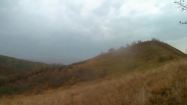 охота на хищника