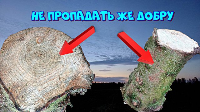 Не пропадать же добру. Находка в лесу 🌲