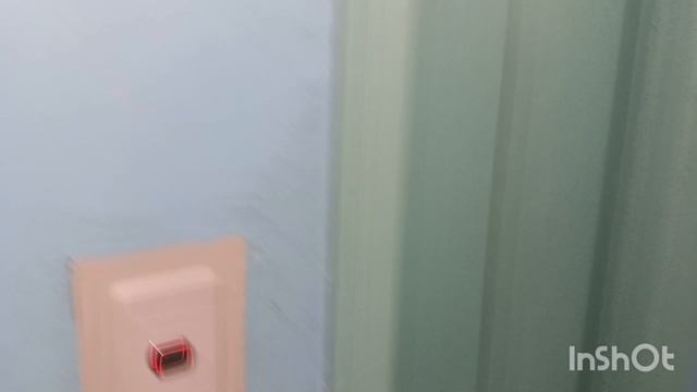 Ночные прогулки /стоят на голове